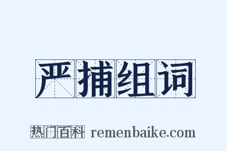 严捕组词是什么意思的图片